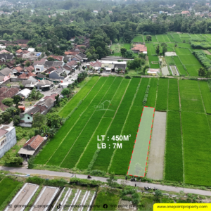 Tanah sawah 4