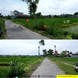 Tanah sawah 5